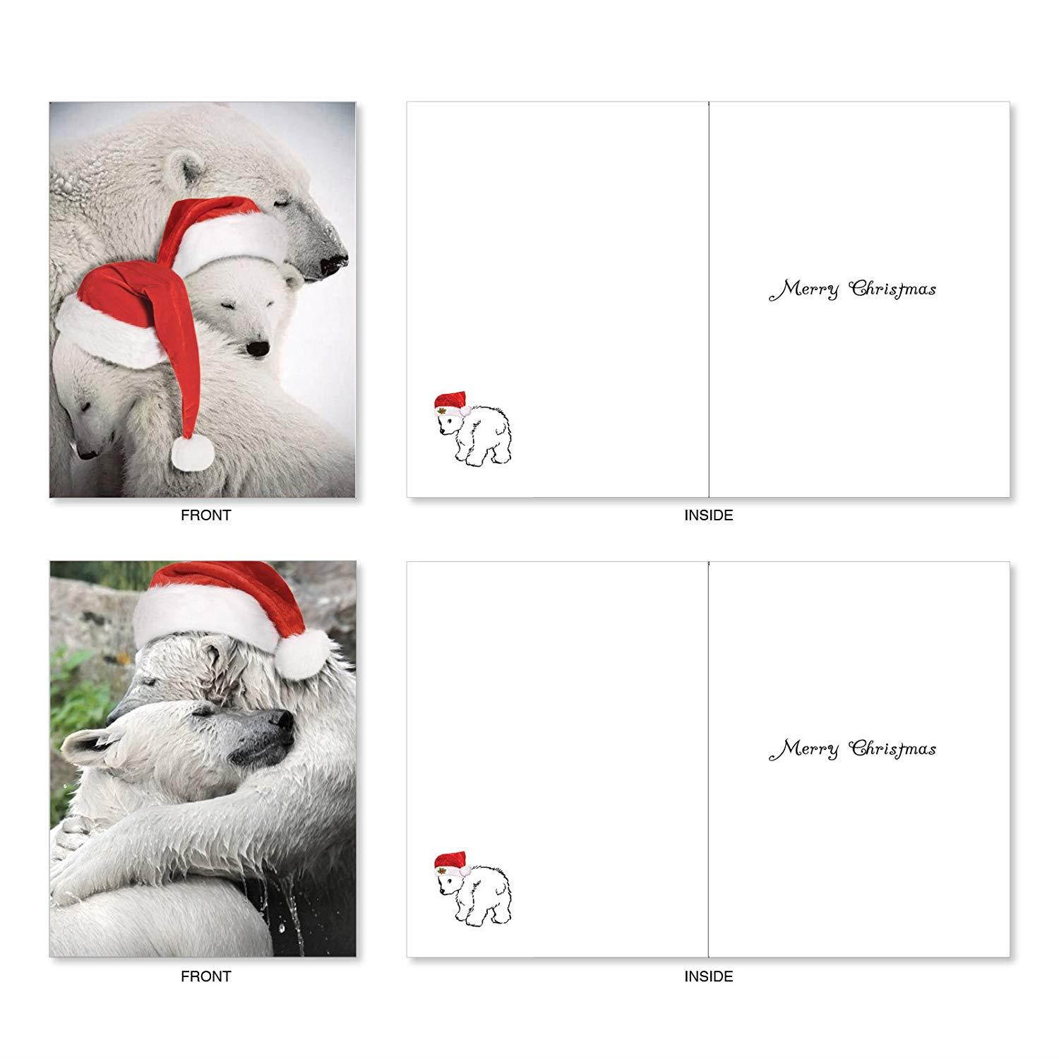 Bear Hugs: 10 Assorted Christmas Greeting Cards Santa's Hat and Lovable Polar Bears Cuddling, with Envelopes. AM6327XSG-B1x10