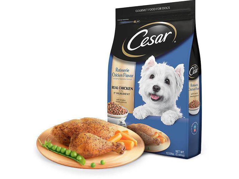 Cesar Rotisserie Chicken Flavor Gourmet Dry Dog Food - 5lbs