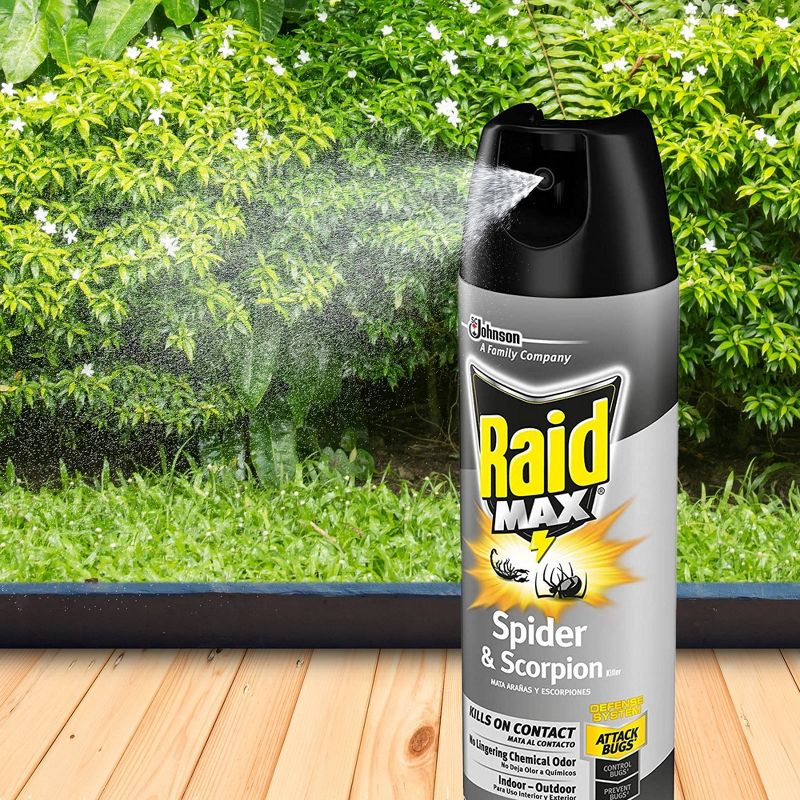 Raid Max Spider & Scorpion Killer Spray - 12oz/1ct