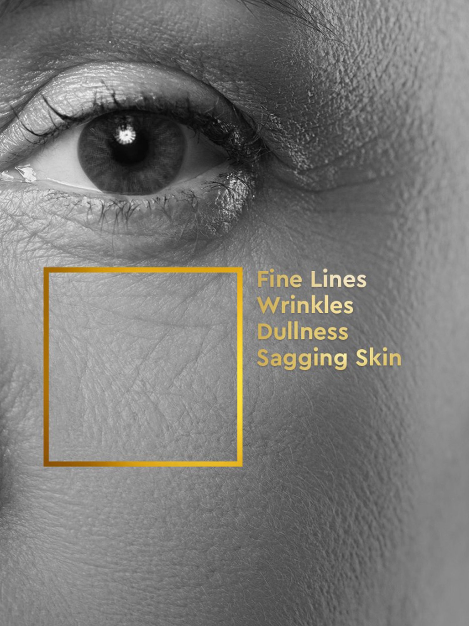 VLCC Clinic ProYouth Bio Cream - 100 gm