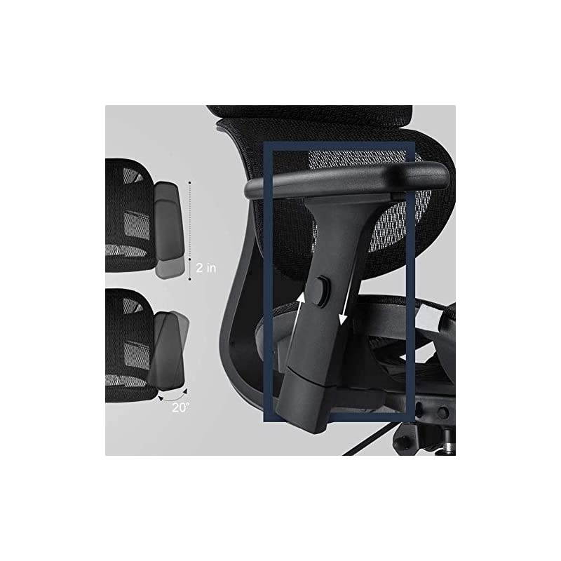 Chair, Ergonomics Mesh Chair Computer Chair Desk Chair High Back Chair w/Adjustable Headrest and Armrest