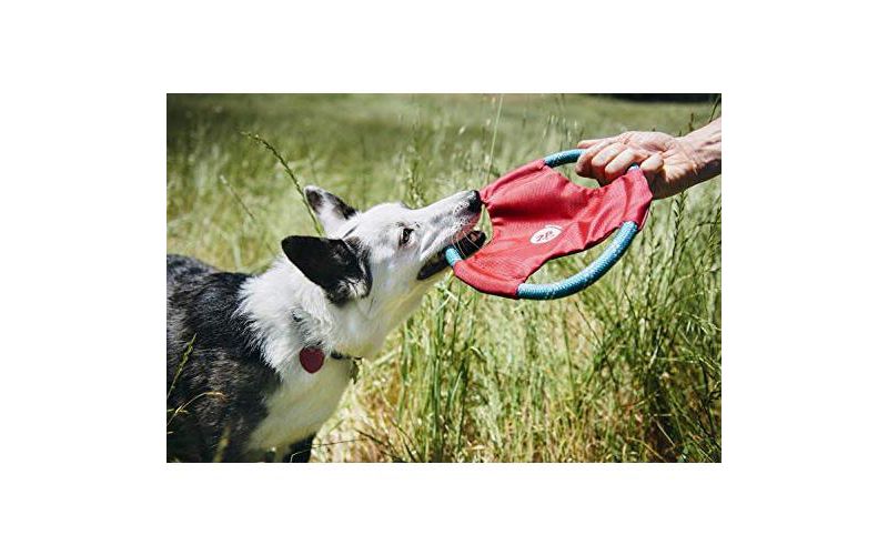 NERF Blitz Squeak Football Dog Toy - Green - 7"