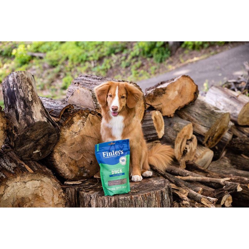 Finley's All Natural Duck Soft Training Bite Dog Treats - 16oz
