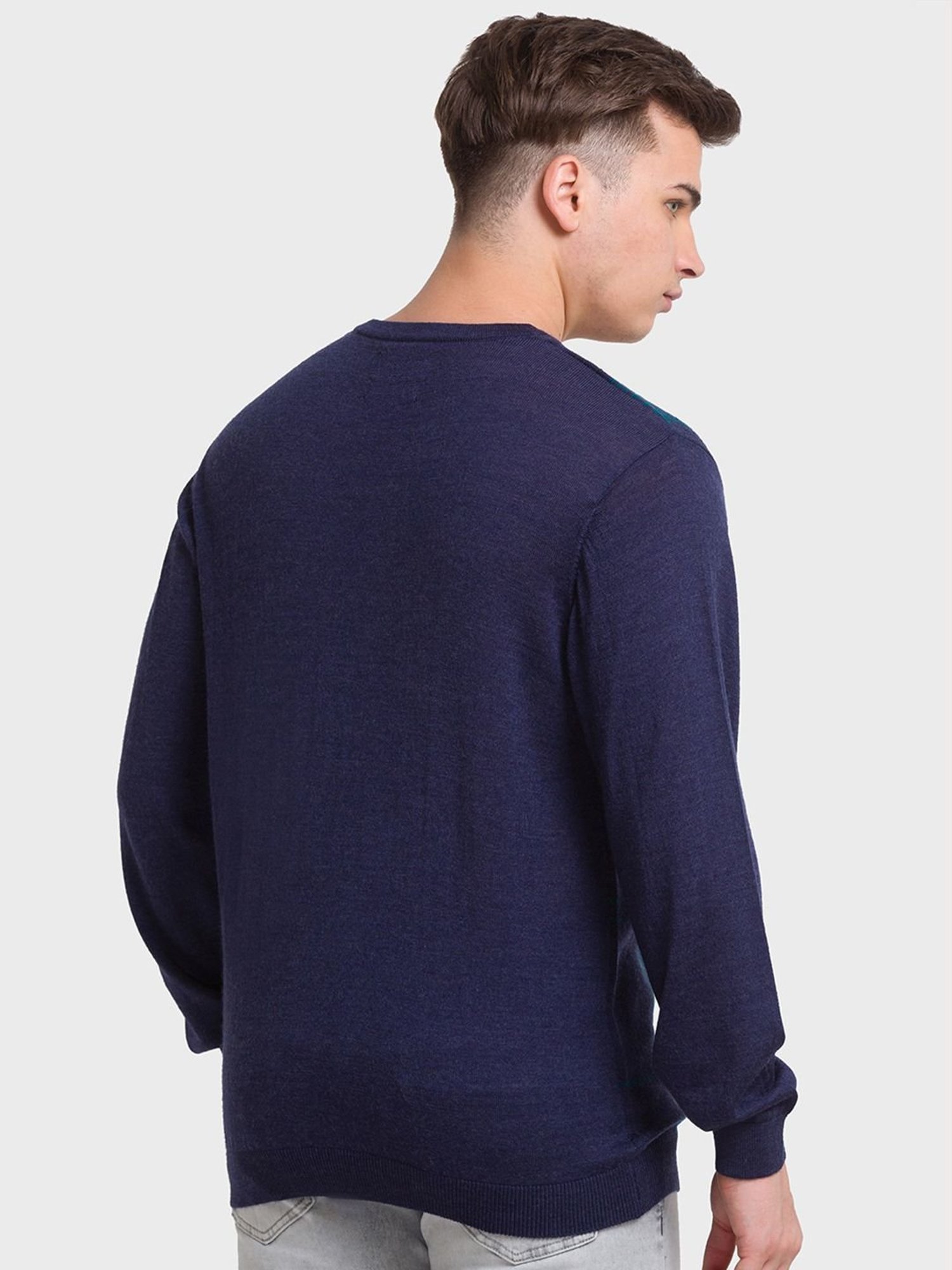 ColorPlus Blue Tailored Fit Checks Sweaters