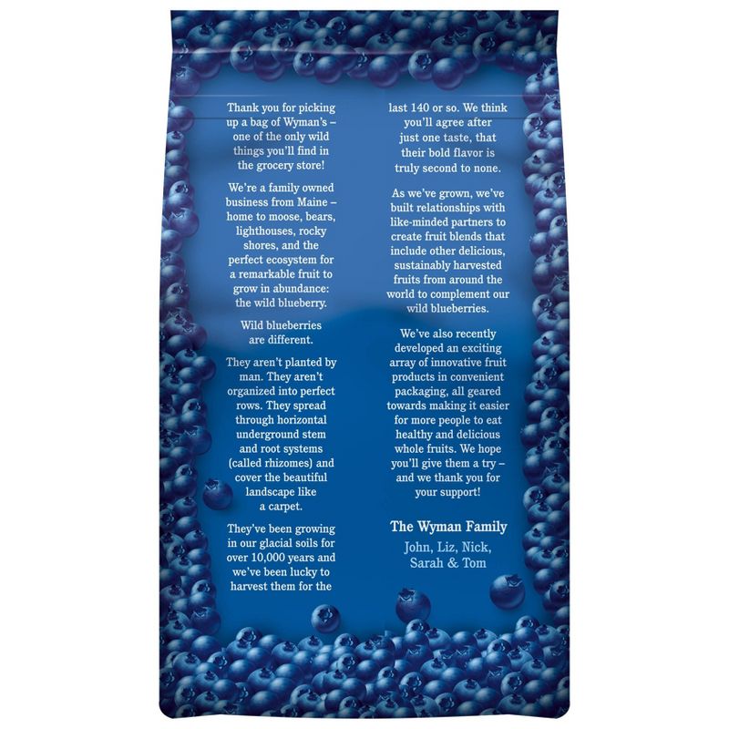Wyman's Fresh Frozen Wild Blueberries - 3lb