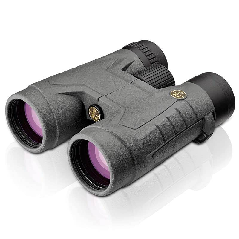BX-2 Acadia 10x42mm Binocular , Shadow Gray