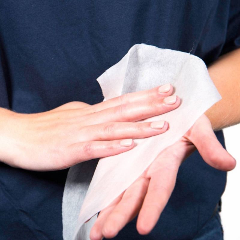 Wet Ones Plus Alcohol Wipes - 20ct