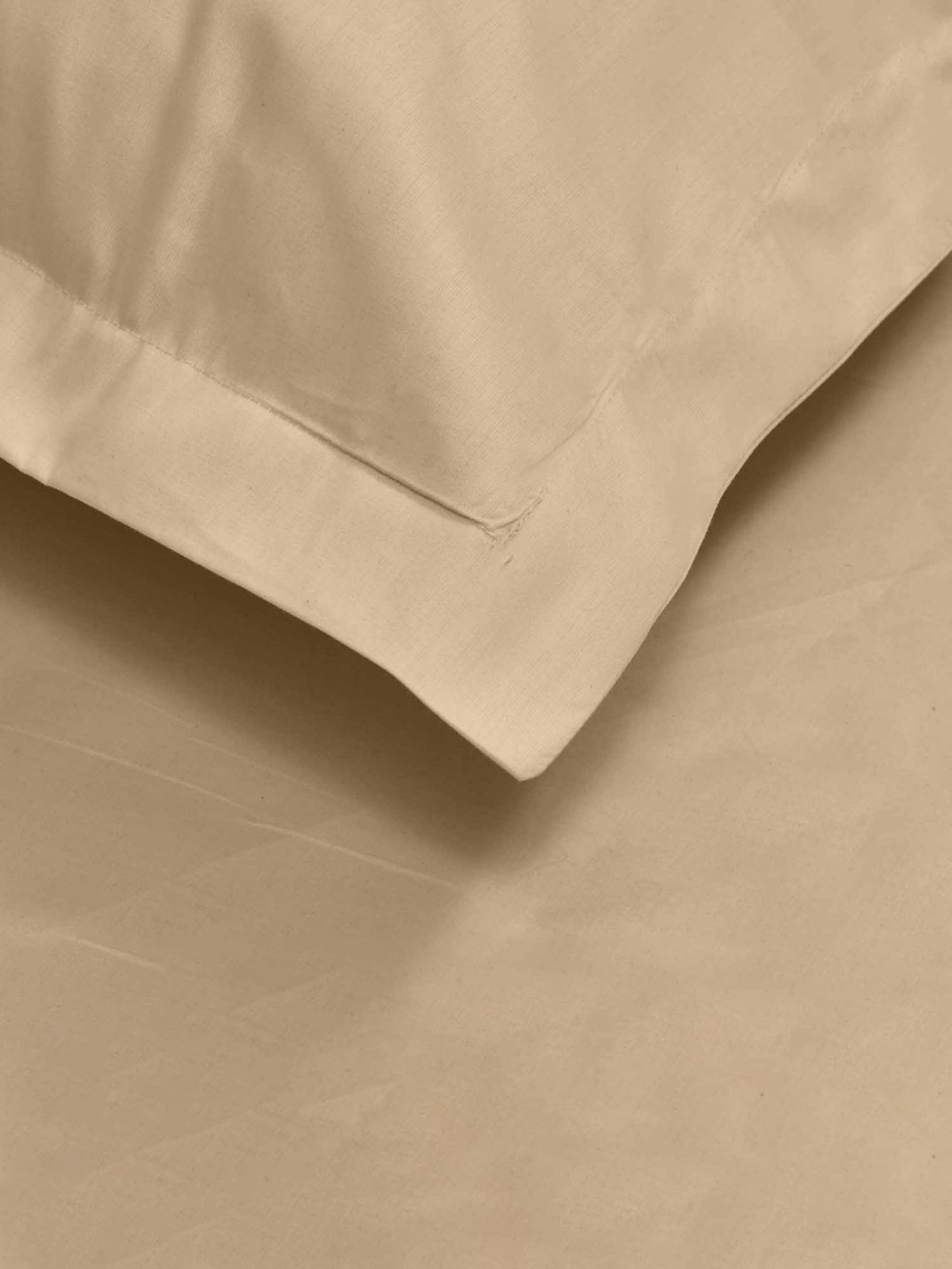 Haus & Kinder Solid Beige 300 TC Cotton Bed Sheet with 1 Pillow Cover