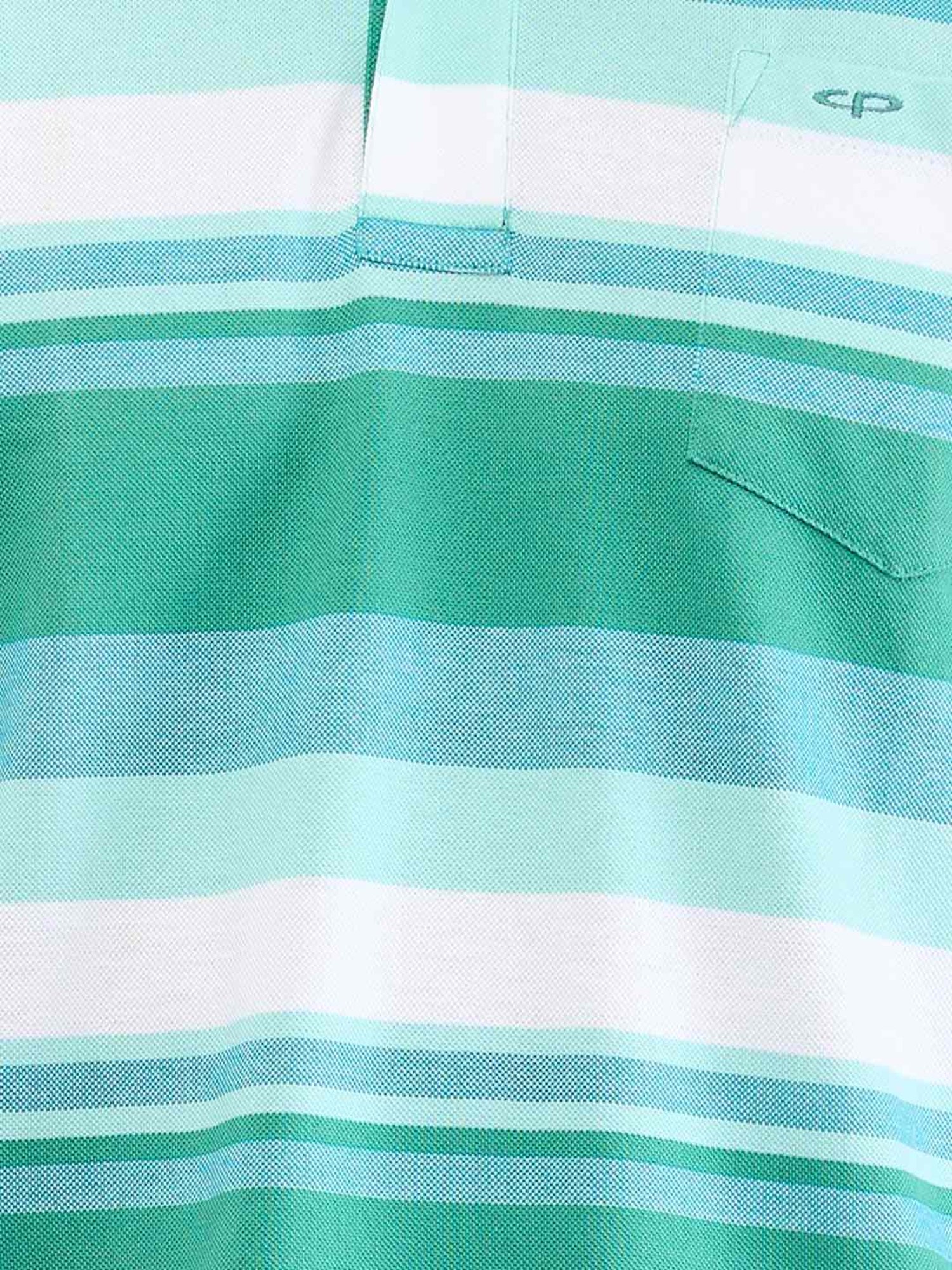 Colorplus Green Classic Fit Striped Polo T-Shirt