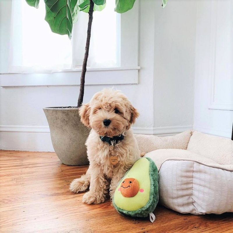 ZippyPaws NomNomz Avocado Dog Toy