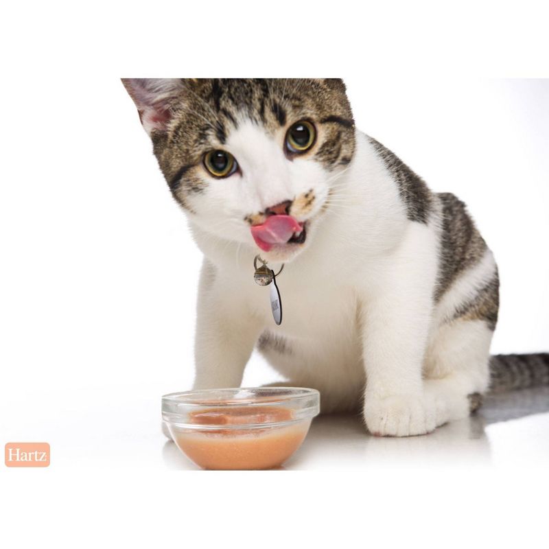 Delectables Bisque with Tuna & Chicken Lickable Cat Treats - 1.4oz