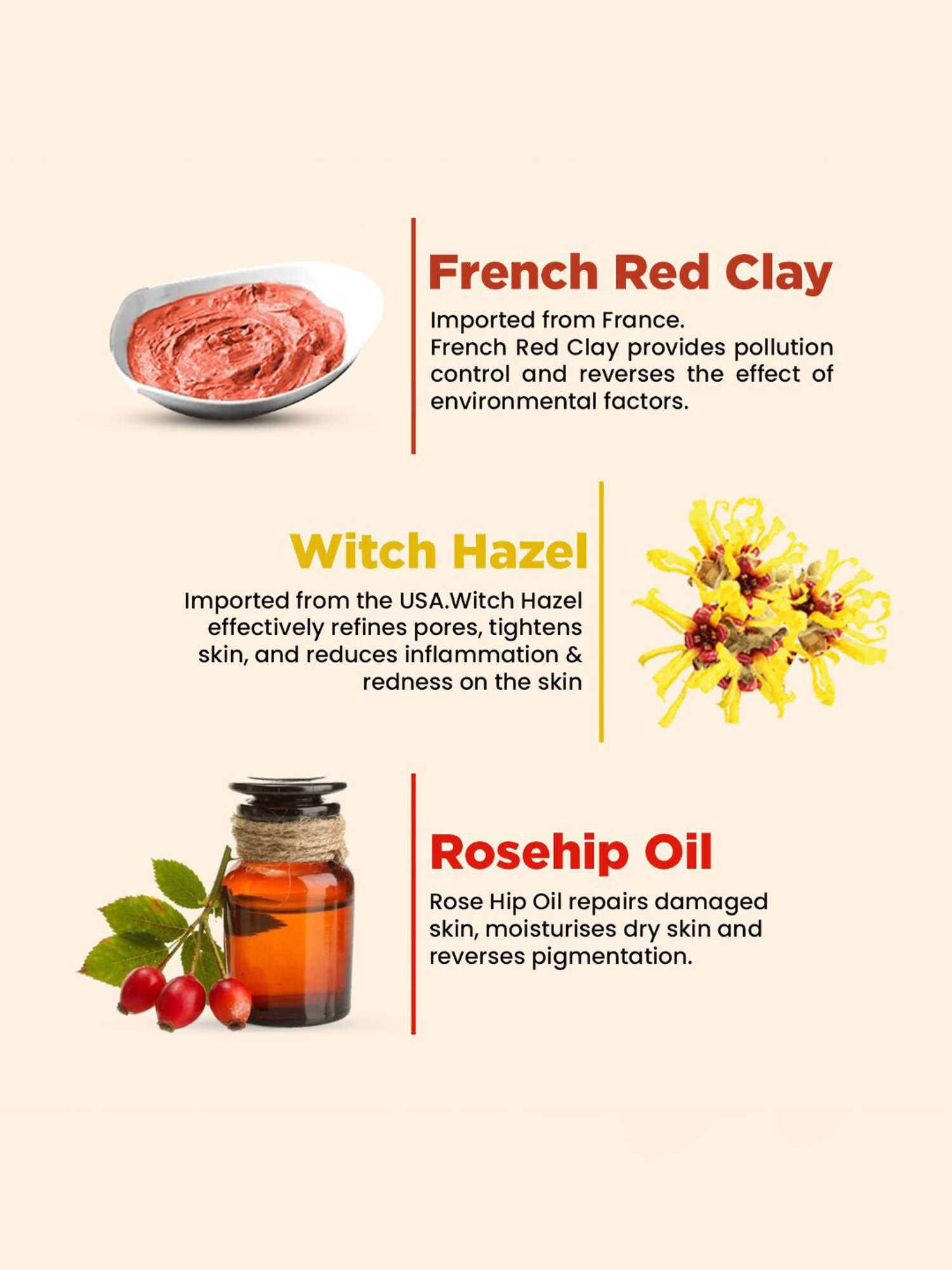 The Skin Story French Red Clay & Rose Hip Oil Control Face Wash - 100 gm