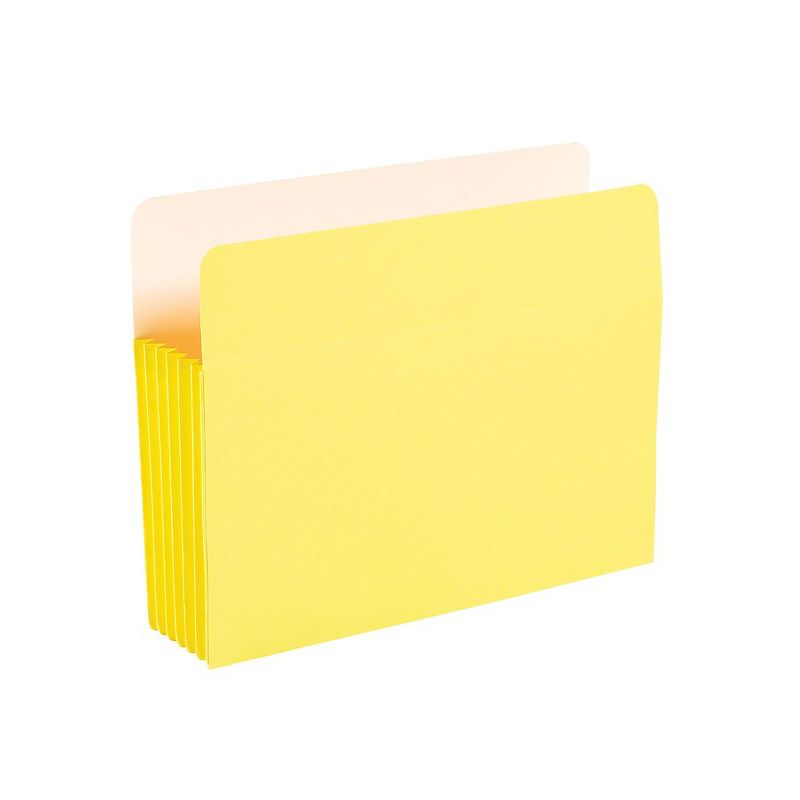 Staples Expanding File Pockets 5.25" Exp. Straight Tab Lgl Br 10/BX TR704432/704432