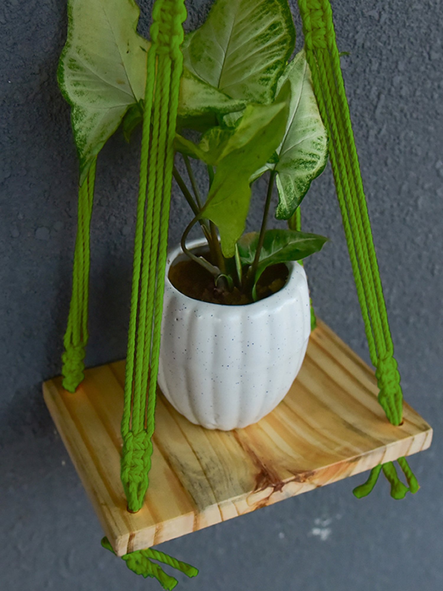 Gathari Macram&iquest; Green Pine Wood Wall Hanging Shelf