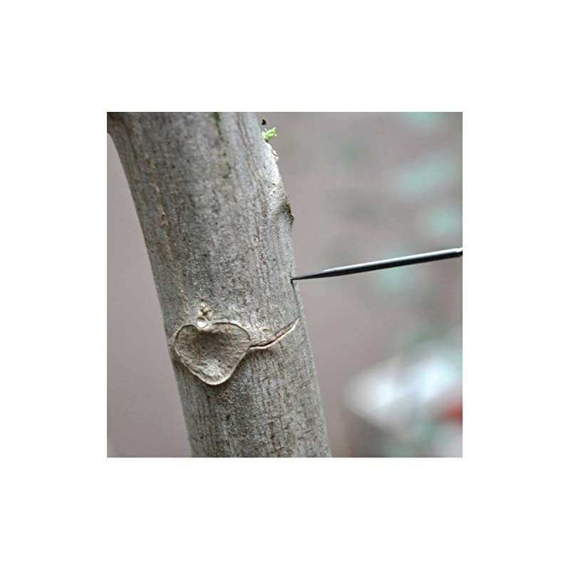 BetterLife Titanium Reusable Toothpick Durable EDC Outdoor Tool (Milled, Bold, TM02)