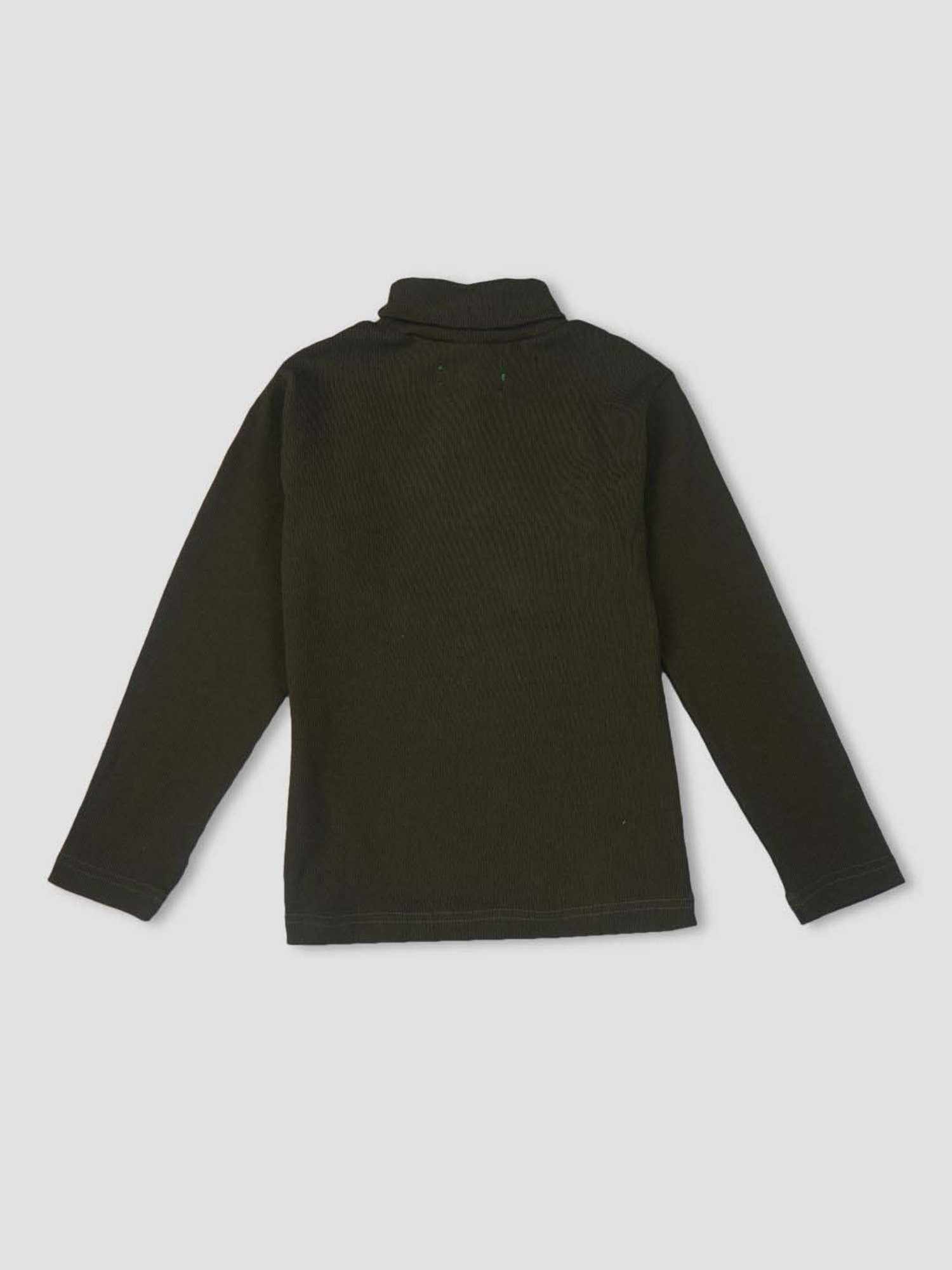 Palm Tree Kids Green Cotton Regular Fit Full Sleeves Skivvy