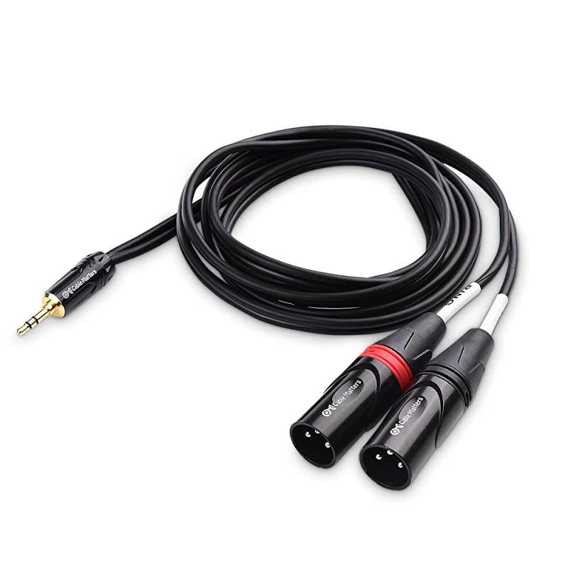 3.5mm 1/8 Inch TRS to 2 XLR Cable, Male to Male Aux to Dual XLR Breakout - 6 Feet