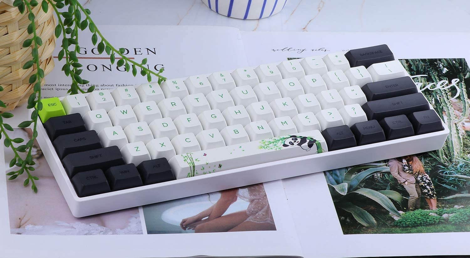 EPOMAKER SKYLOONG SK61 61 Keys Hot Swappable Mechanical Keyboard with RGB Backlit NKRO IP6X Waterproof Type-C Cable for Win/Mac/Gaming (Gateron Optical Blue Panda)