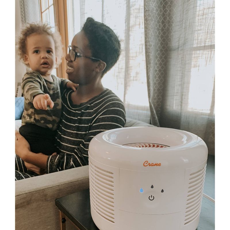 Crane Air Purifier 2.5 PPM