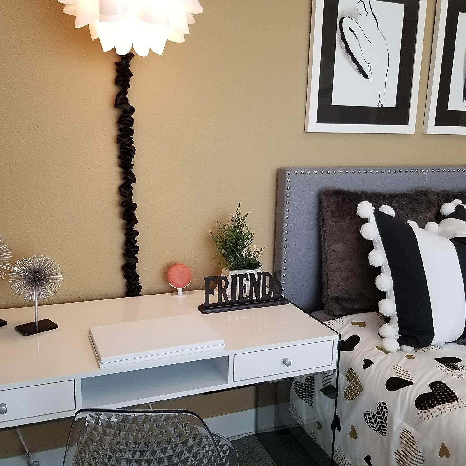 Mount Genie Google Home Mini Pedestal: Improves Sound Visibility and Appearance - Cleanest Mount Holder Stand for Google Mini - Designed in USA (Charcoal)