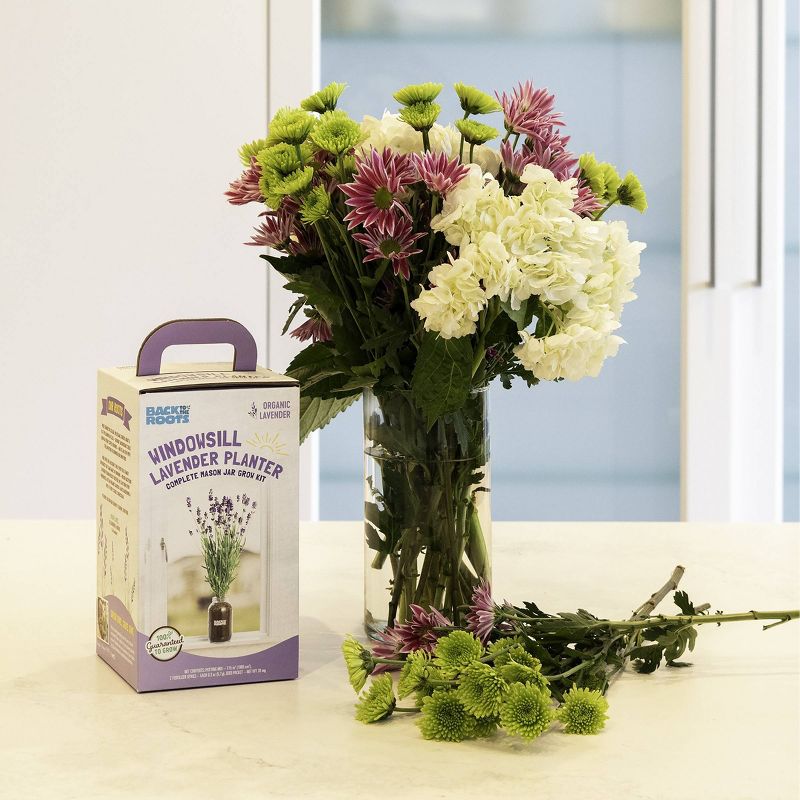 Back to the Roots Organic Lavender Windowsill Planter