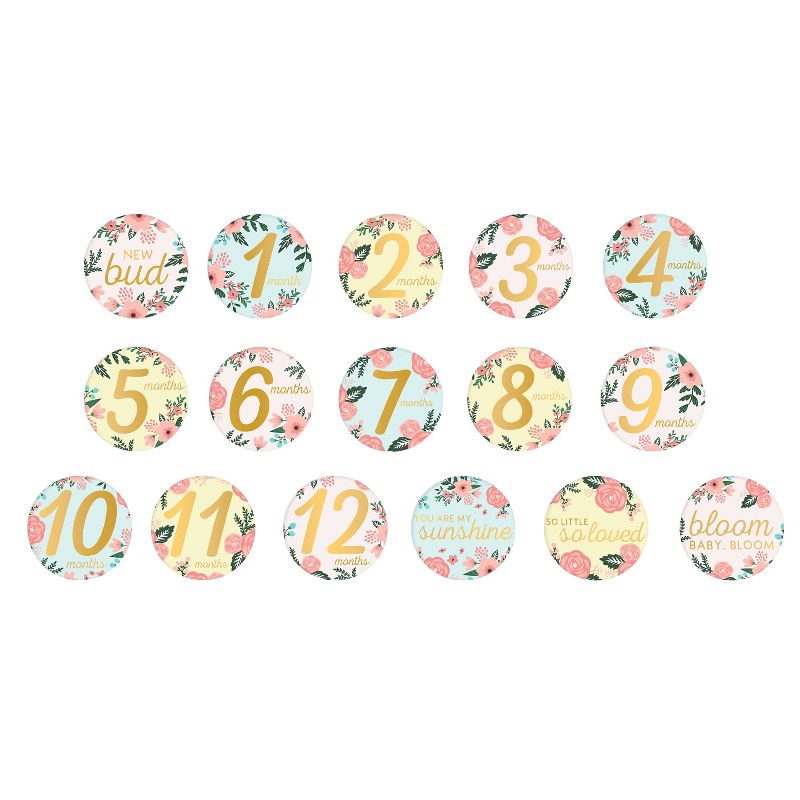 Pearhead Baby Memory Book and Baby Belly Sticker Set Floral Photo and Scrapbook Albums