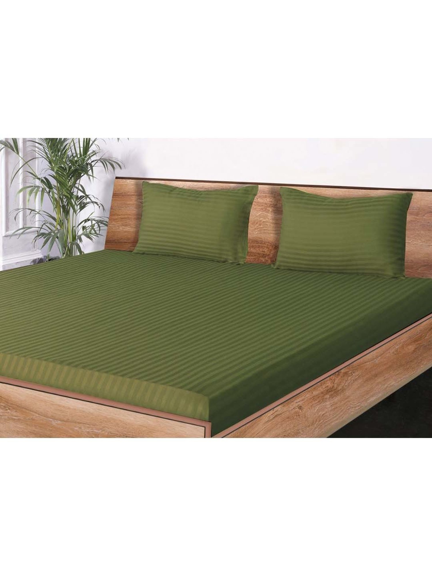 Mark Home Classic Moss Green Cotton 210 TC King Bedsheet with 2 Pillow Covers
