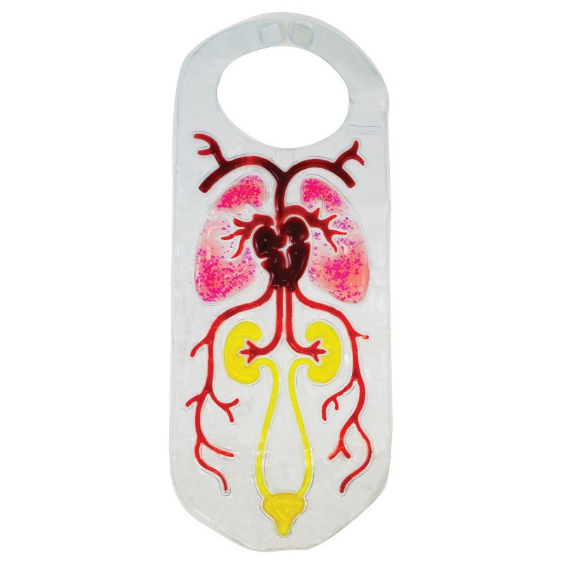 Roylco Investigate Organs Sensory Vests