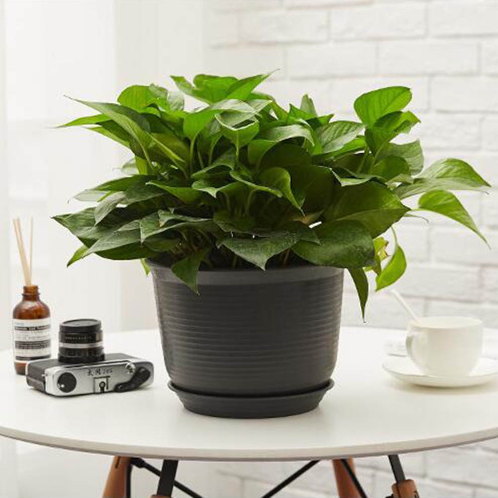 Cat6 110 Style Punch Down Keystone Jack, White, CAT 6, Rj45 90 Degree 50-Pack