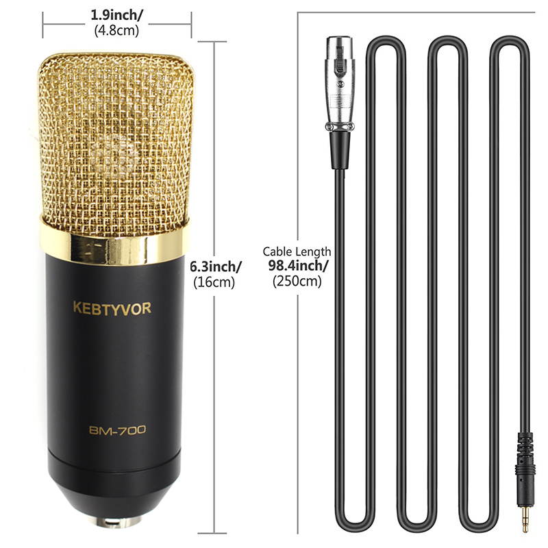 BM700 XLR Microphone Kit Professional Cardioid Studio Condenser Mic for Streaming Podcasting Gaming Vocal Recording