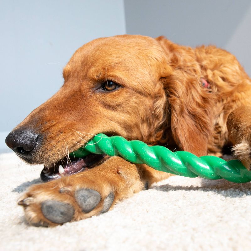 KONG Holiday Safestix Holiday Dog Toy - Green - S