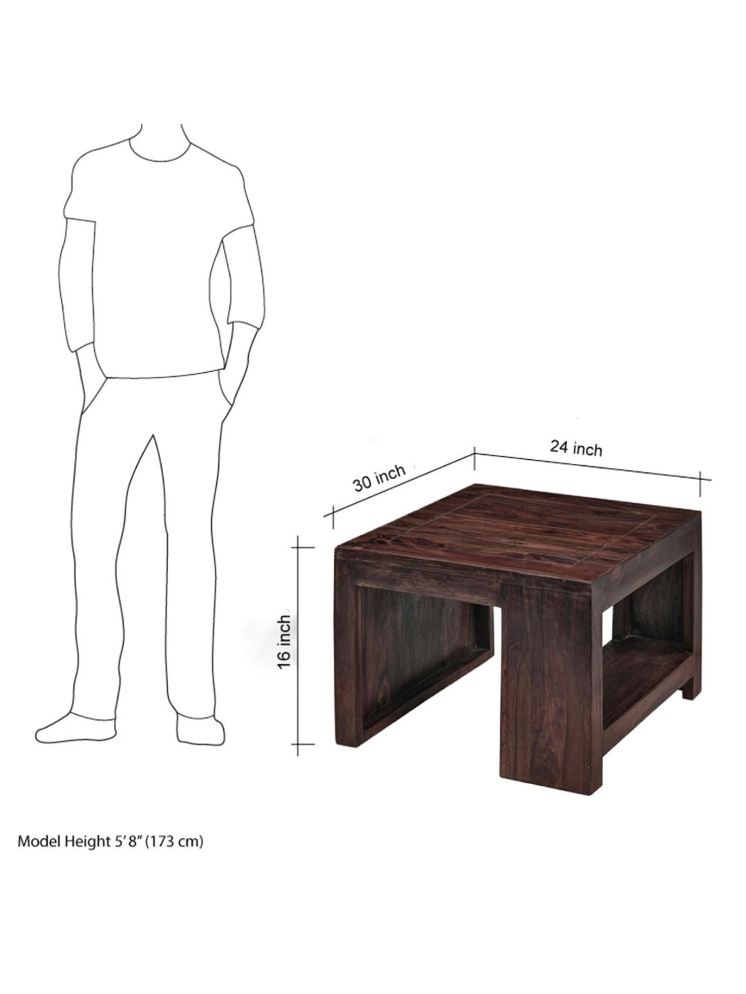 Ikiriya Piante Dark Brown Wood Coffee Table for Living Room