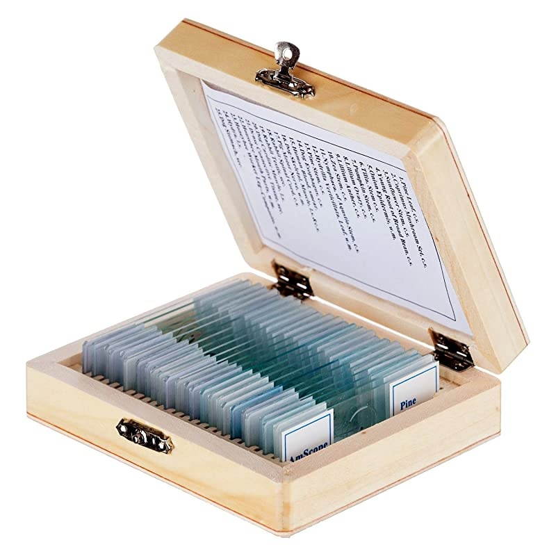 PS25W Prepared Microscope Slide Set for Basic Biological Science Education 25 Slides Includes Fitted Wooden Case
