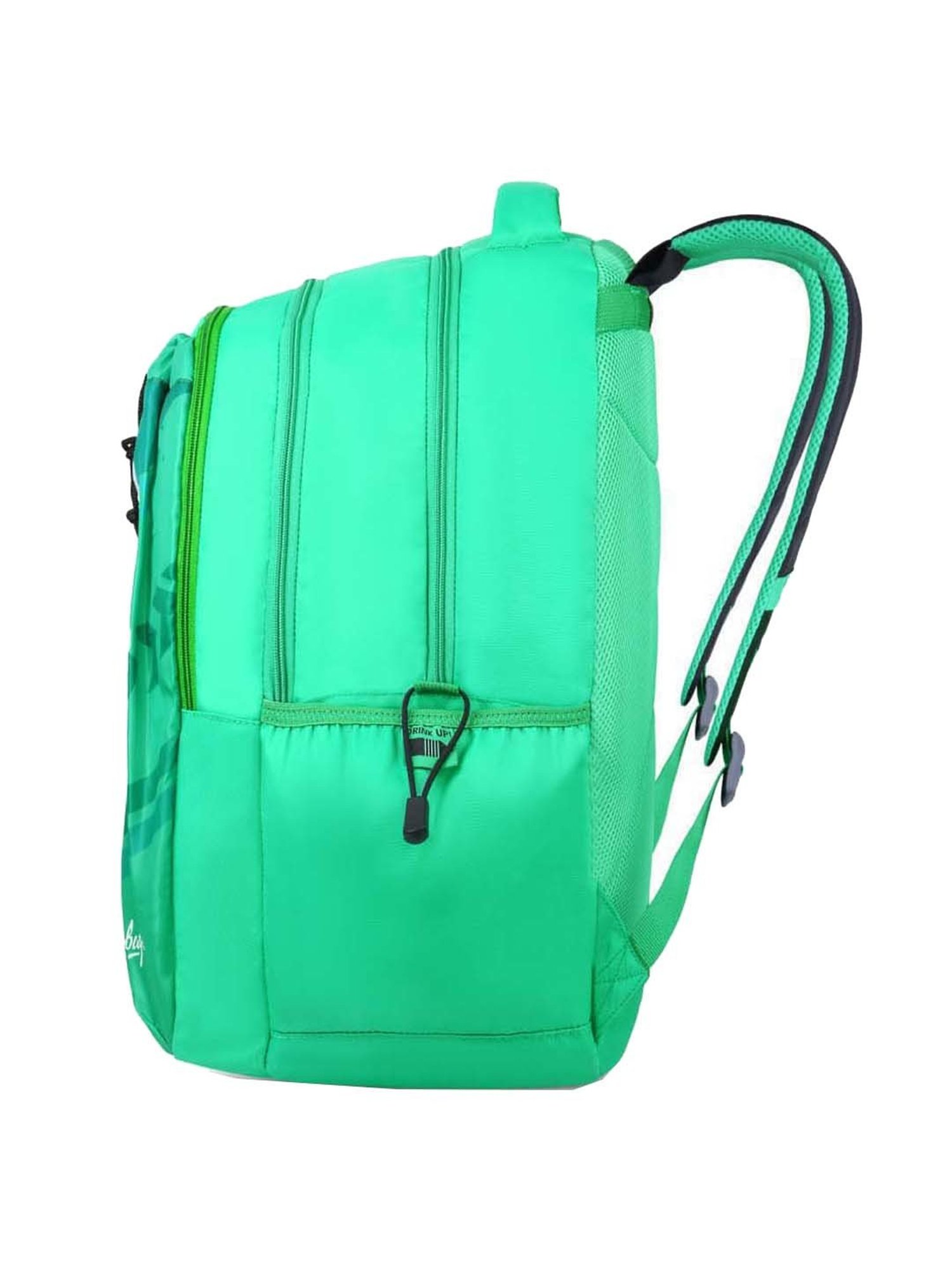 Skybags Squad Nxt 04 35 Ltrs Teal Green Medium Backpack