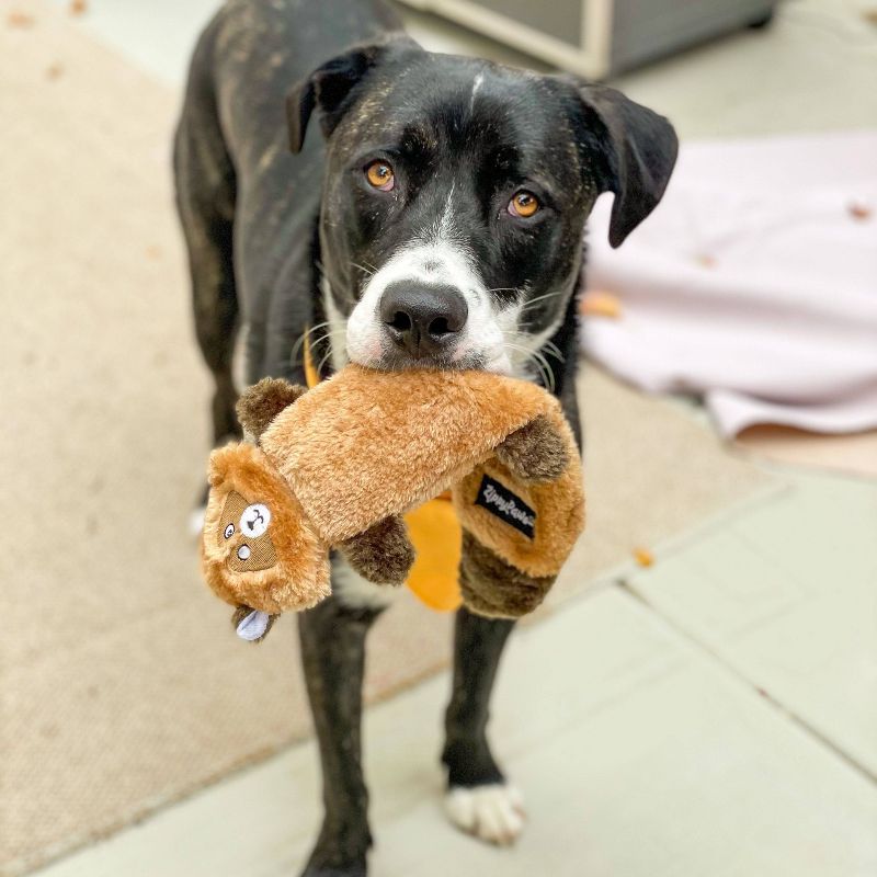 ZippyPaws Zingy Raccoon Dog Toy