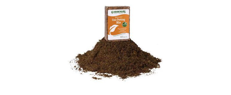 Ortho Tree & Shrub Insect Killer - 16oz