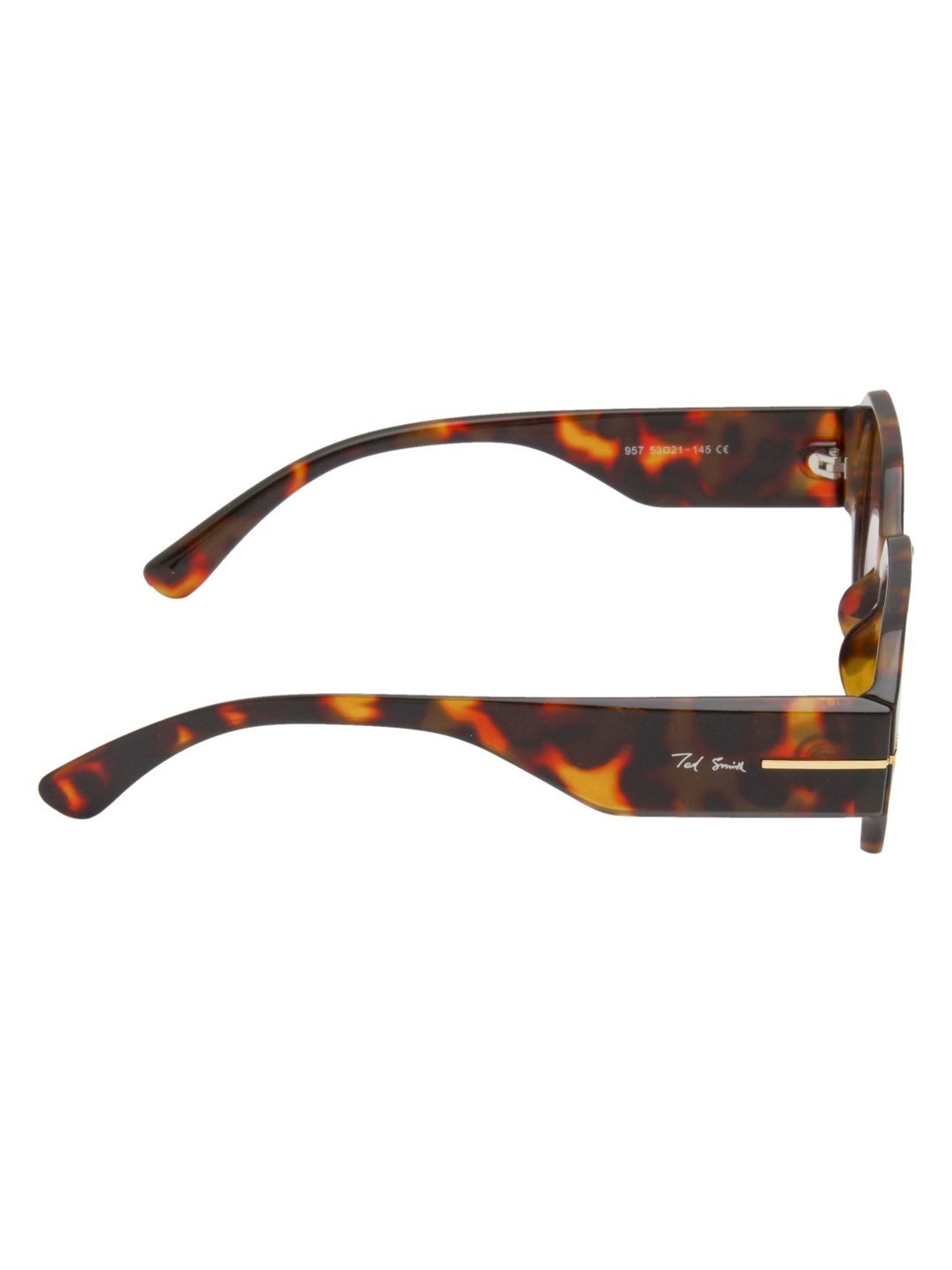 Ted Smith Brown Hexagon UV Protection Unisex Sunglasses