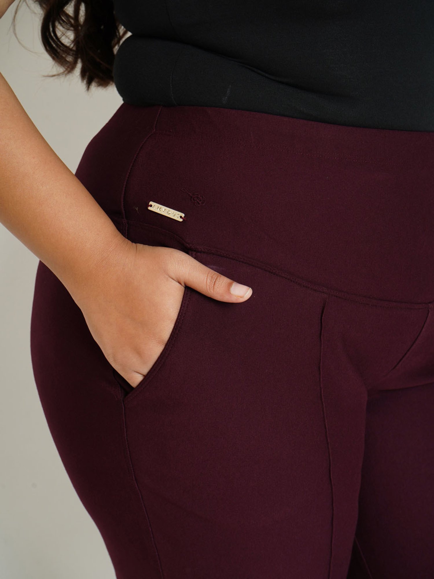 Amydus Wine High Rise Jeggings