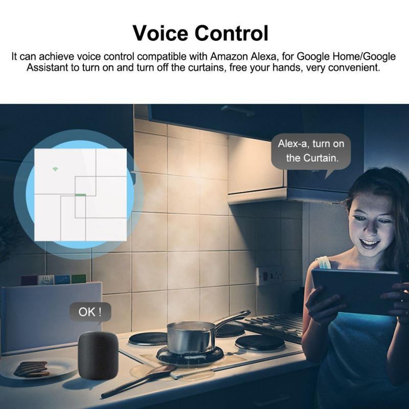 Nest T3017US Learning Thermostat 3rd Gen with Google Mini Home Smart Speaker, Chalk