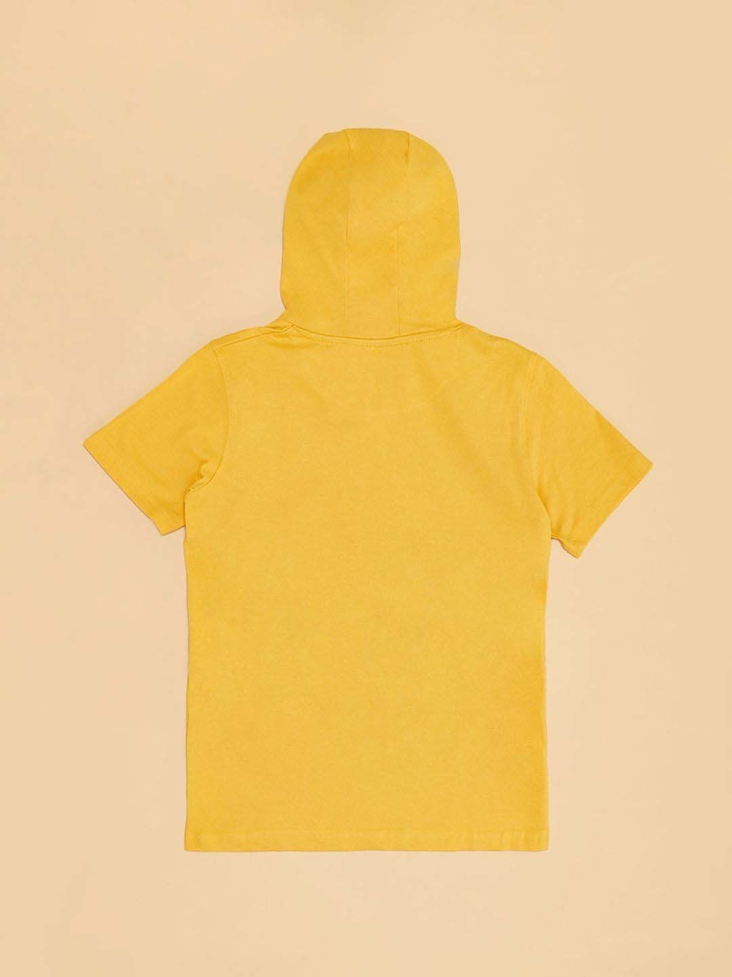 Pantaloons Baby Kids Dandelion Cotton Regular Fit T-Shirt