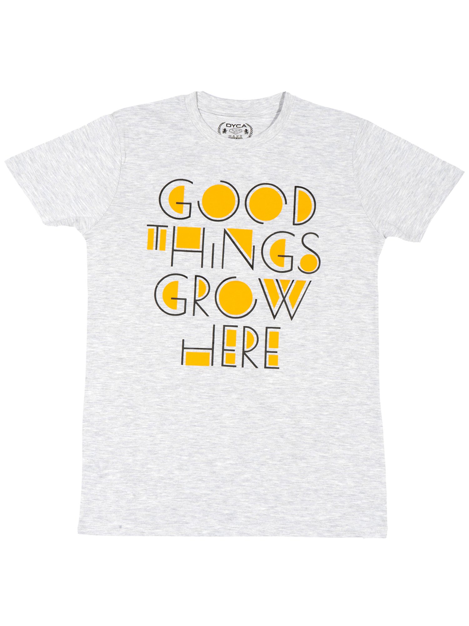 Dyca Boys Grey Graphic T-Shirt