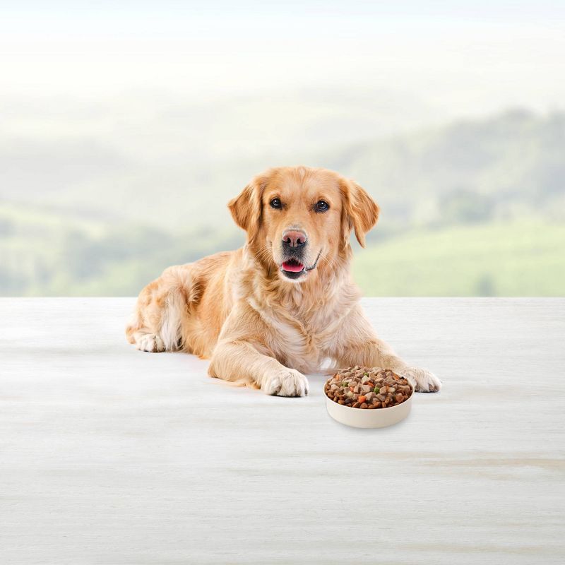 Blue Buffalo Delectables Grain Free Beef & Chicken Dinners Wet Dog Food Topper - 3oz/12ct Variety Pack