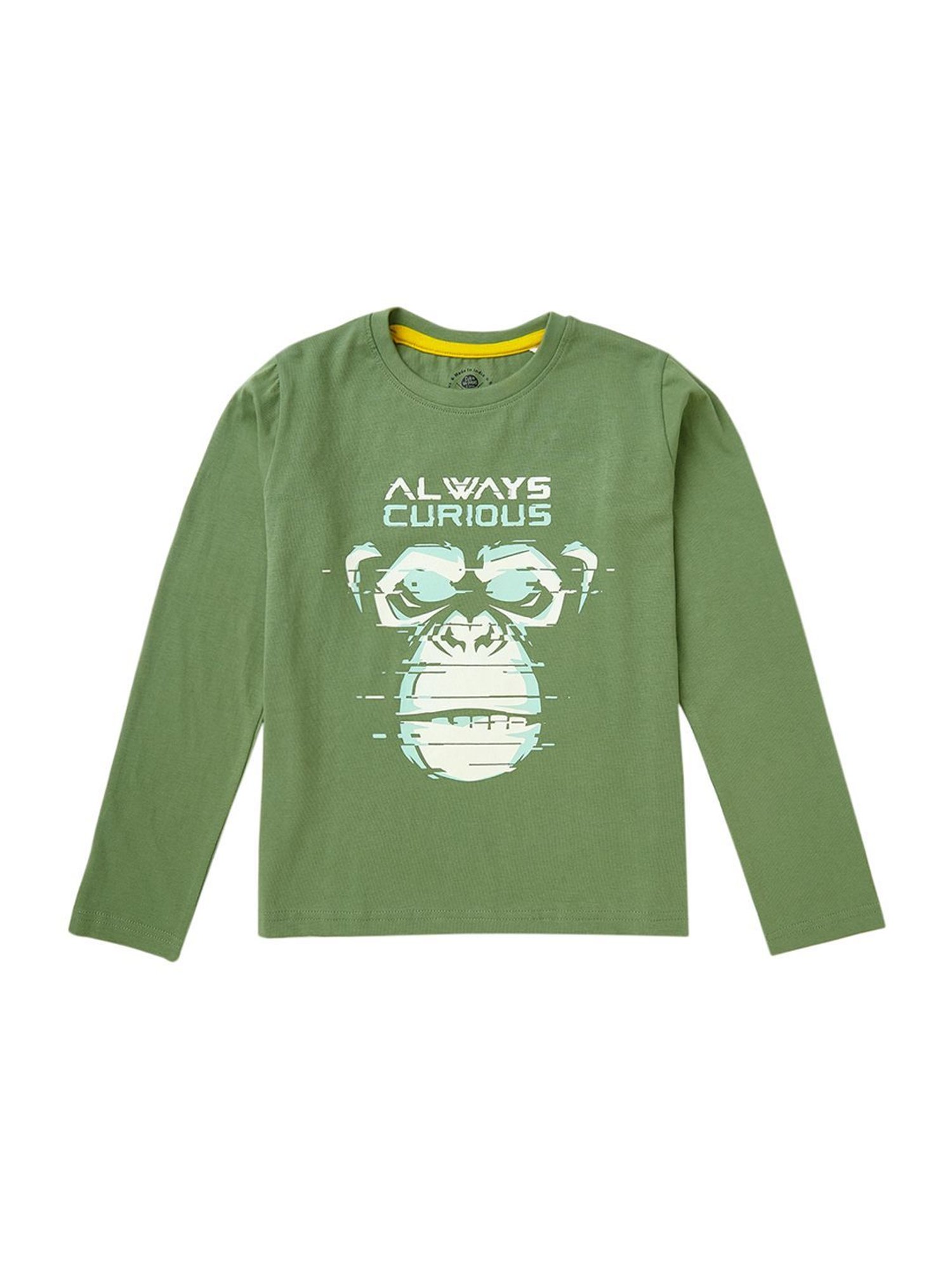 Cub McPaws Kids Multicolor Cotton Printed Full Sleeves T-Shirt (Pack of 3)