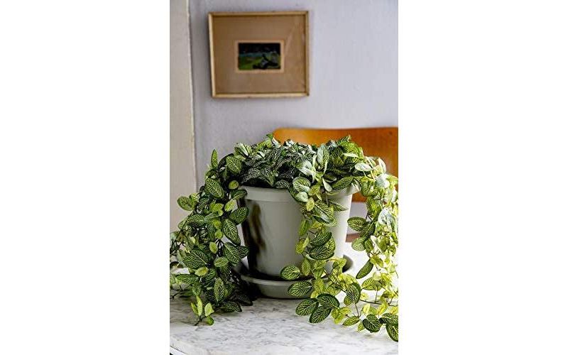 The HC Companies 16 Inch Indoor/Outdoor Classic Plastic Flower Pot Container Garden Planter with Molded Rim and Drainage Holes, Sandstone