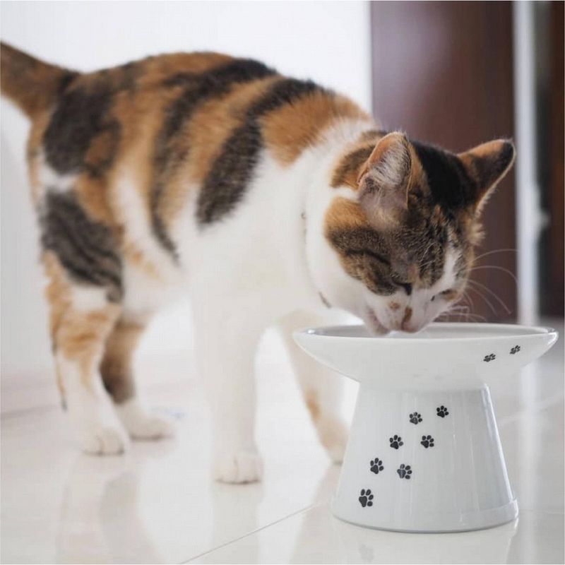 Necoichi Raised Cat Food Bowl - Extra Wide