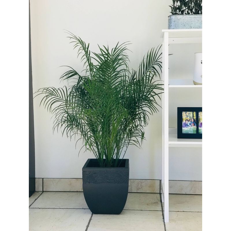 12.2" Kante Lightweight Traditional Square Planter Charcoal - Rosemead Home & Garden, Inc.