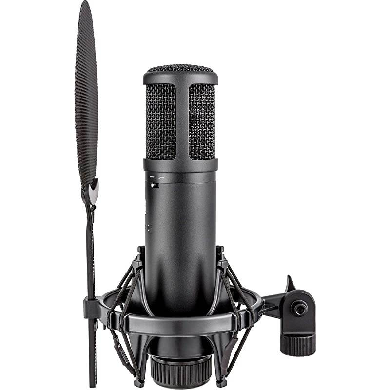 SE2200 Large-Diaphragm Condenser Microphone