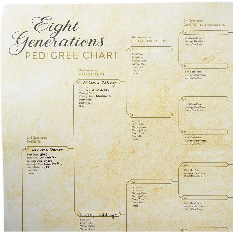 Sustainable Greetings 50 Sheets Black Stationary Paper for Arts Crafts, A4 Letter Size 8.5 x 11 in