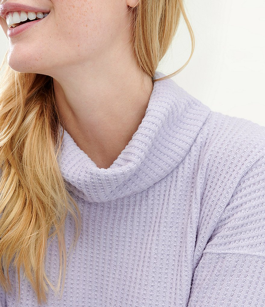 Splendid Knit Firestone Cowl Neck Coordinating Sweatshirt