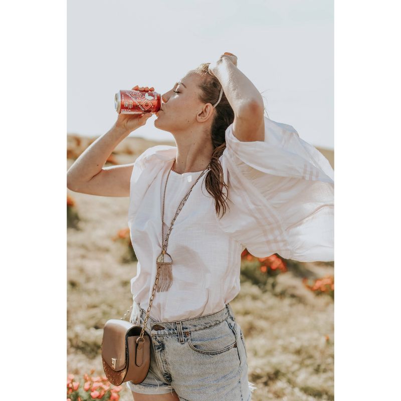 Zevia Dr. Zevia Zero Calorie Soda - 6pk/12 fl oz Cans